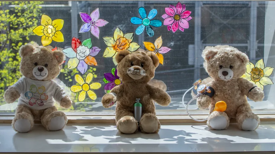 Three soft toy bears from the Teddy Bear Hospital pictured on a window sill, against a backdrop of colourful flower designs on the window glass 