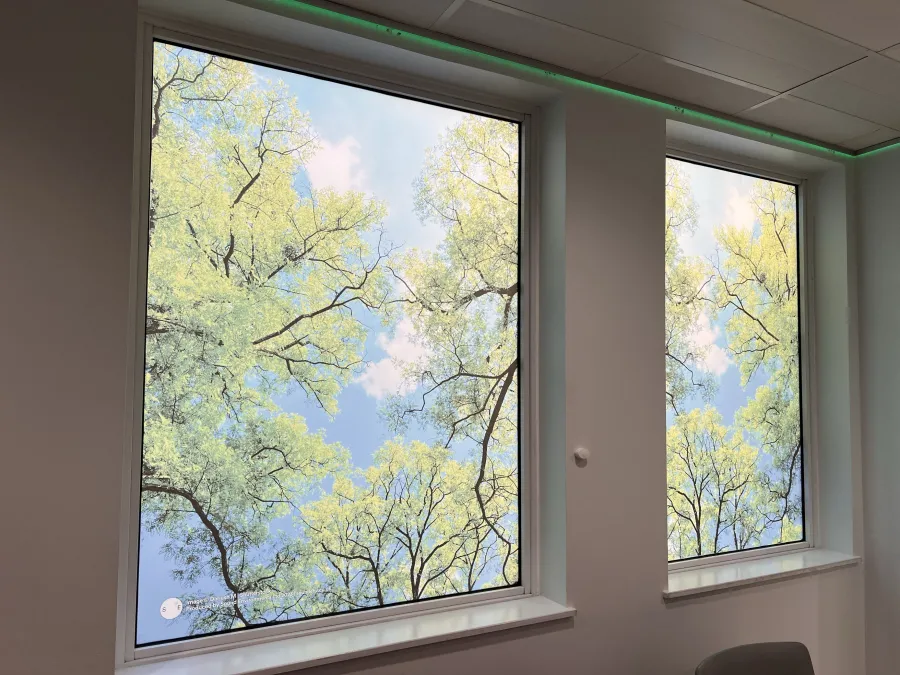 Carefully thought-out lighting and décor bring nature into the patient’s day
