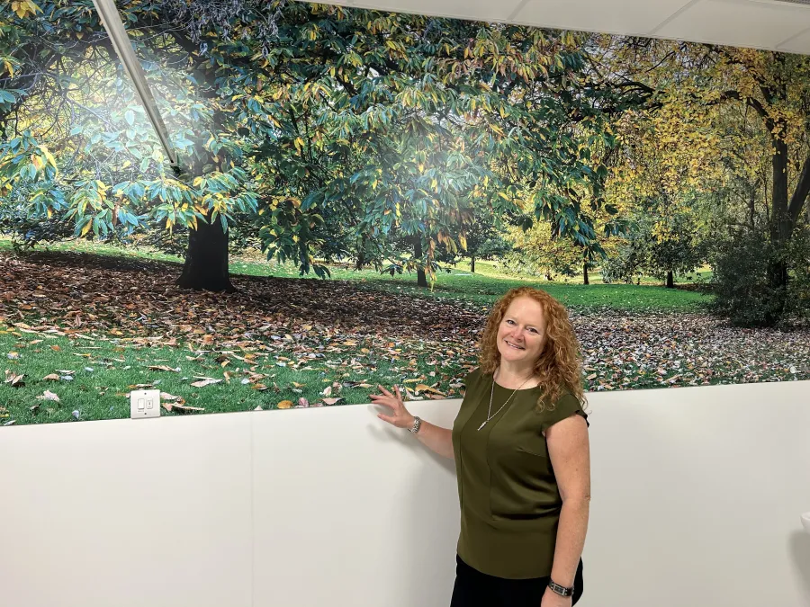 Gail Scott-Spicer, the Charity's CEO, standing in front of artwork of Ruskin Park in ED Majors