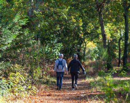 Pair walking in a park