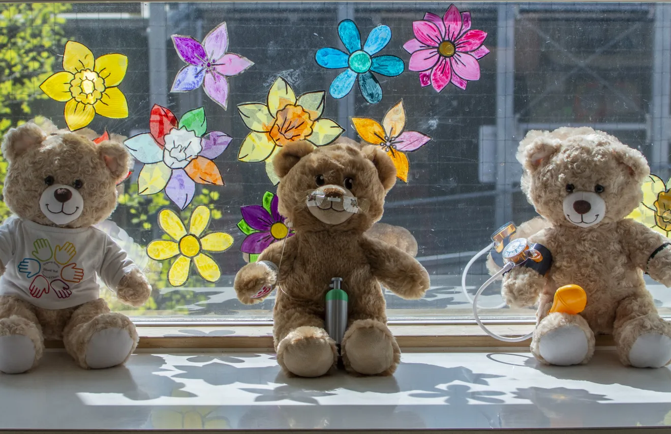 Three soft toy bears from the Teddy Bear Hospital pictured on a window sill, against a backdrop of colourful flower designs on the window glass 