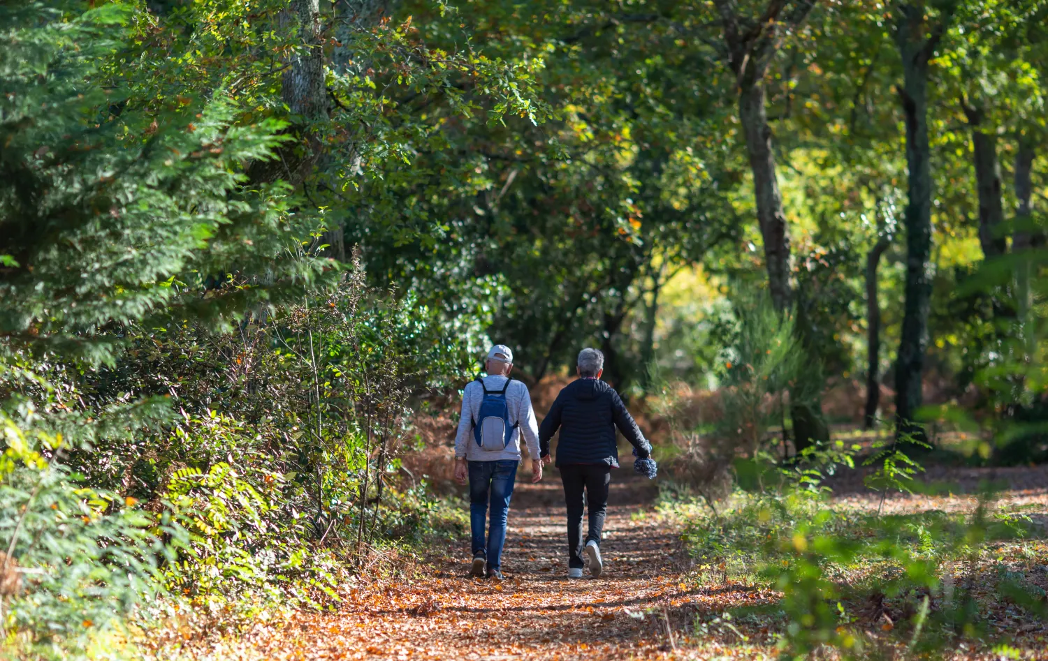 Pair walking in a park